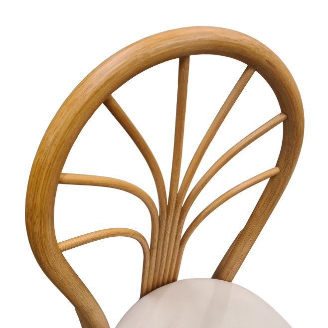 Eetstoelen Manou Complete Set/4 Aanbieding