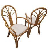 Eetstoelen Manou 301 Armleuning Complete Set/4  Jubileumaanbieding  🎉