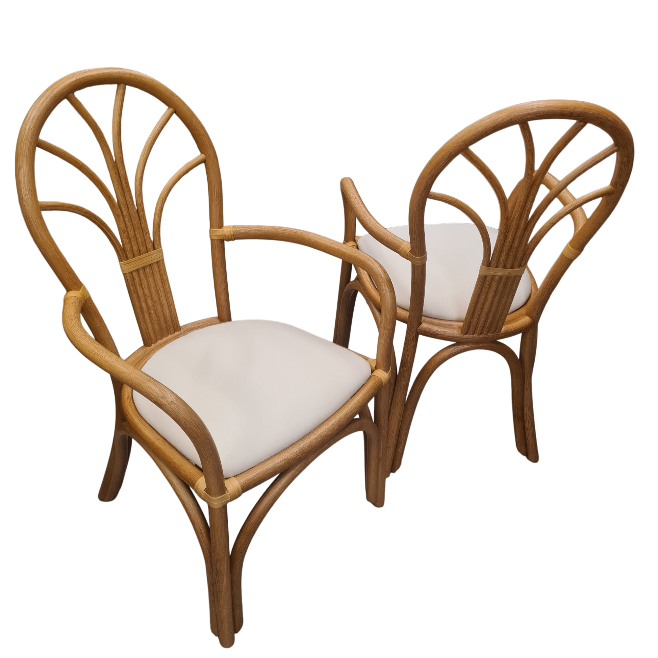 Eetstoelen Manou 301 Armleuning Complete Set/4  Jubileumaanbieding  🎉